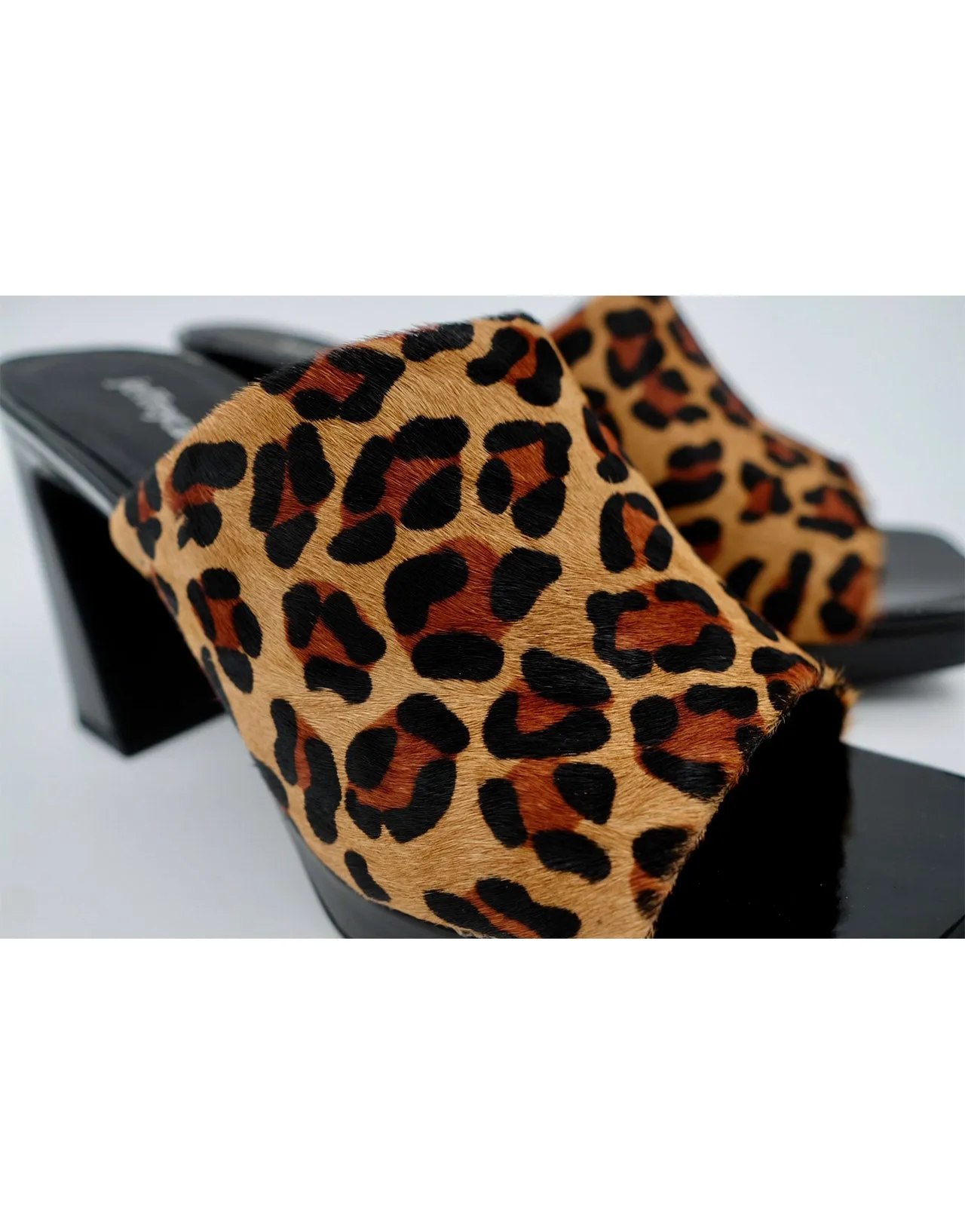 Caviar Cheetah