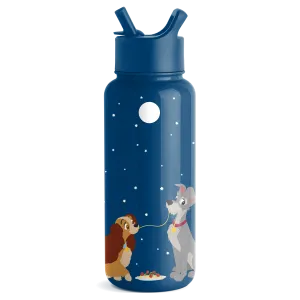 Disney Summit Water Bottle with Straw Lid