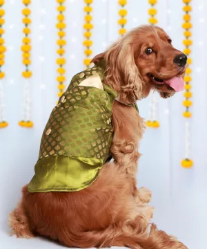 Dog Kurta with Pocket Square Green