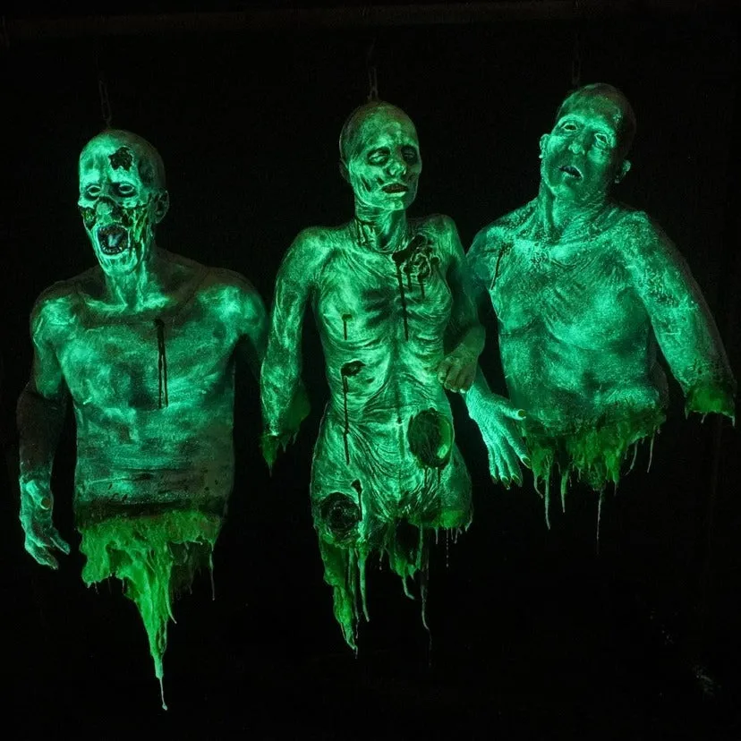 Glowing Ghoul Hanging Torso 3 Pack