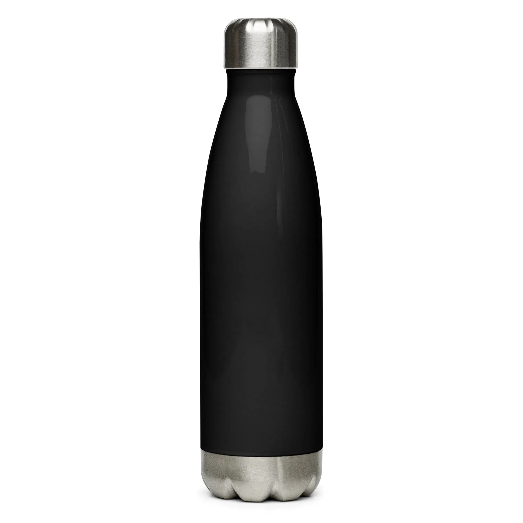 Northern Lights Stainless steel water bottle