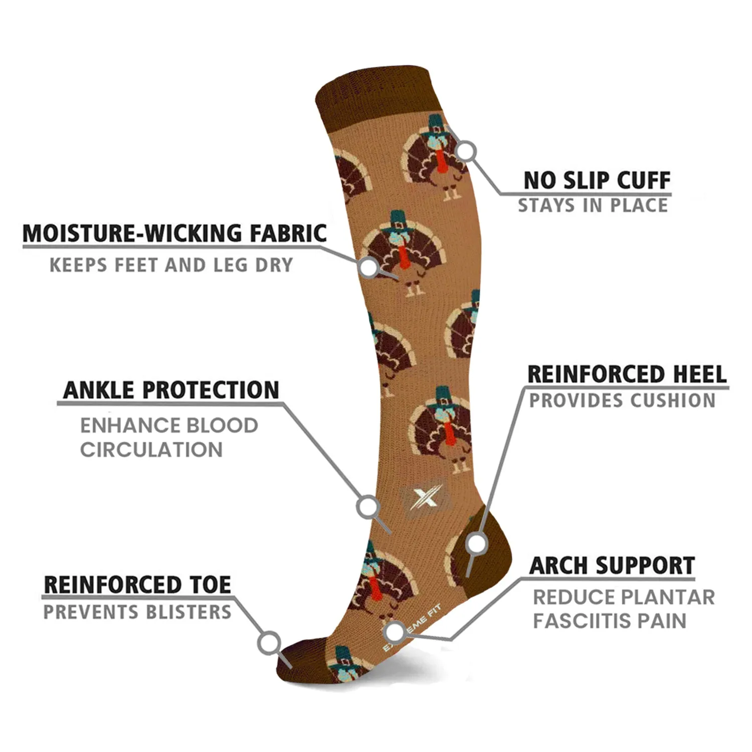 Novelty Collection Socks (6-Pairs)